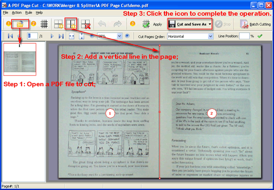 cut pdf book